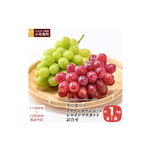 ふるさと納税 ぶどう 長野県 小布施町 冬に食べる第一人者頬べに?＆シャインマスカット詰合せ 各1房 約1kg ［おぶせファーマーズ］ ぶどう 仕かける 食べ比べ …