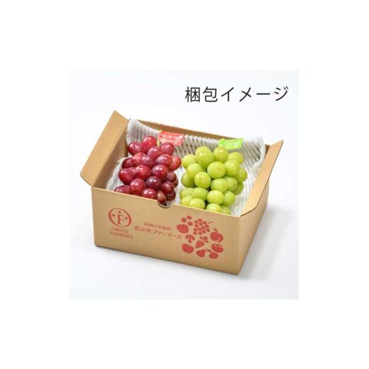 ふるさと納税 ぶどう 長野県 小布施町 冬に食べる第一人者頬べに?＆シャインマスカット詰合せ 各1房 約1kg ［おぶせファーマーズ］ ぶどう 仕かける 食べ比べ …