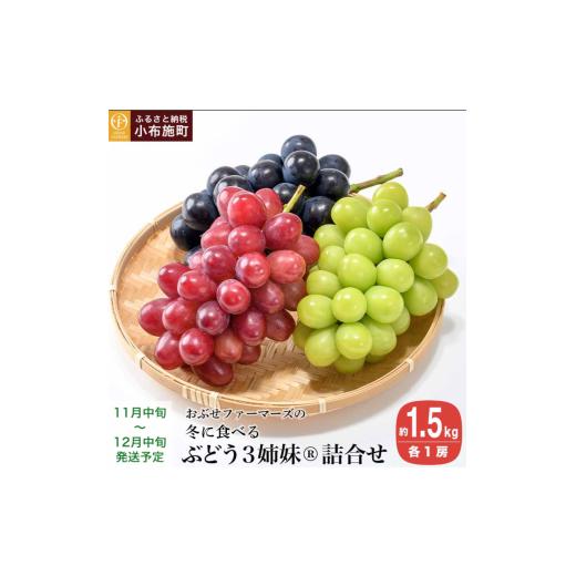 ふるさと納税 ぶどう 長野県 小布施町 冬に食べるぶどうぶどう3姉妹? シャインマスカット & ナガノパープル & クイーンルージュ? 詰合せ 各1房 約1.5kg おぶ…