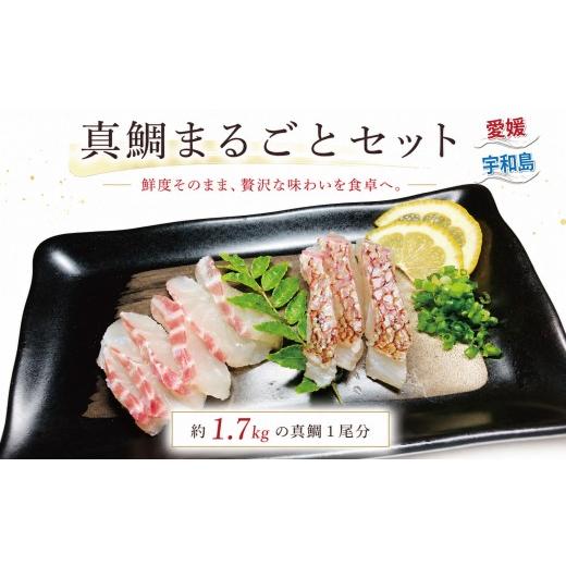 ふるさと納税 寿司 愛媛県 宇和島市 真鯛 まるごと セット 計 1.7kg こもねっと タイ マダイ 魚介 刺身 お刺身 刺し身 お刺し身 フィーレ 加工 タイカマ 人気 …