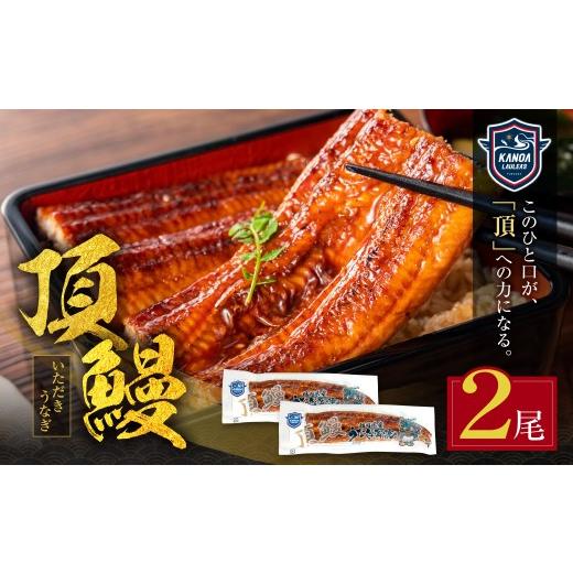 ふるさと納税 うなぎ 福岡県 福智町 Y36-16 頂鰻 福岡県産うなぎの蒲焼2尾セット 国産鰻 うなぎ ウナギ 鰻 人気 おすすめ ひつまぶし 鰻 蒲焼き 冷凍 うな重 …