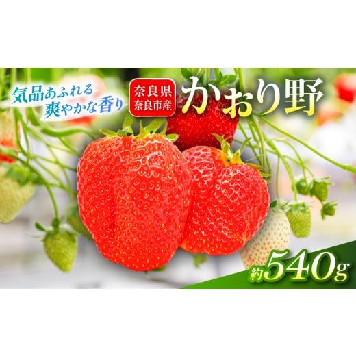 ふるさと納税 いちご 奈良県 奈良市 いちご かおり野 約540g 1パック約270g 2パック 2027年発送 鶏冠果 サイズ混合 不揃い 数量限定 冷蔵 イチゴ 苺 itigo ich…