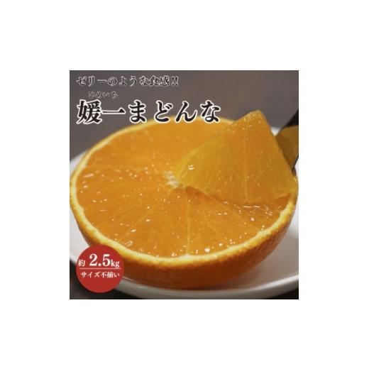 ふるさと納税 みかん・柑橘類 愛媛県 八幡浜市 先行受付 ゼリーのような食感 「媛一まどんな」約2.5kg入 C28-42 _みかん ミカン マドンナ 紅まどんな同品種 …