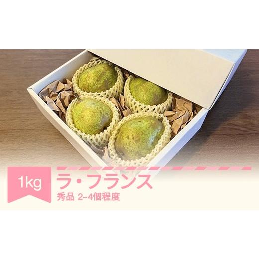 ふるさと納税 梨 山形県 村山市 先行予約 ラ・フランス 洋梨 ラフランス 秀品 約1kg 2026年産 令和8年産 果物 sb-lasyx1