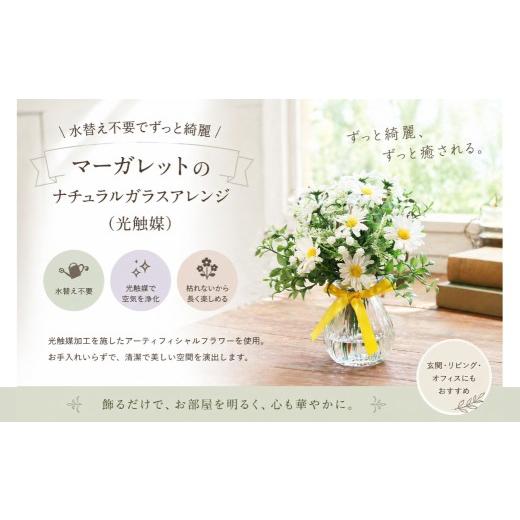 ふるさと納税 雑貨・日用品 花 岡山県 倉敷市 水替え不要でずっと綺麗 マーガレットのナチュラルガラスアレンジ ( 光触媒 ) インテリア リビング 玄関 寝室 …