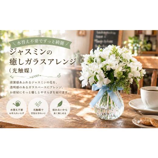 ふるさと納税 雑貨・日用品 花 岡山県 倉敷市 水替え不要でずっと綺麗 ジャスミンの癒しガラスアレンジ ( 光触媒 ) インテリア リビング 玄関 寝室 お花 花 …