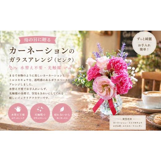 ふるさと納税 雑貨・日用品 花 岡山県 倉敷市 母の日に贈る カーネーションのガラスアレンジ ( 水替え不要 ・ 光触媒 ) ピンク インテリア リビング 玄関 寝…