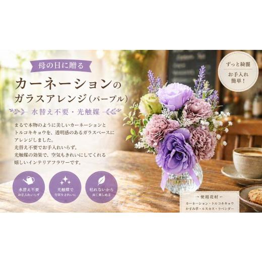 ふるさと納税 雑貨・日用品 花 岡山県 倉敷市 母の日に贈る カーネーションのガラスアレンジ ( 水替え不要 ・ 光触媒 ) パープル インテリア リビング 玄関 …