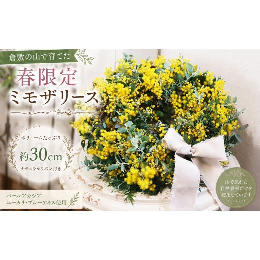 ふるさと納税 雑貨・日用品 花 岡山県 倉敷市 倉敷市栽培 山で育てたパールアカシアの贅沢ナチュラルリース 約30cm ユーカリとブルーアイスの春限定壁飾り リ…