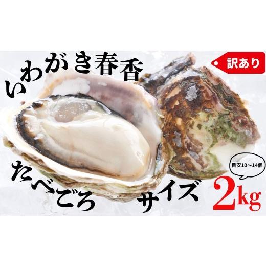 ふるさと納税 牡蠣 生牡蠣 島根県 海士町 ブランドいわがき春香 訳あり 食べごろサイズ 2kgセット 春香 牡蠣 牡蛎 いわがき 岩牡蠣 殻付き 海鮮 新鮮クリーミ…