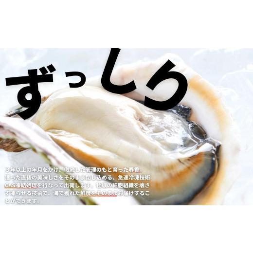 ふるさと納税 牡蠣 生牡蠣 島根県 海士町  ブランドいわがき春香 訳あり 食べごろサイズ 2kgセット 春香 牡蠣 牡蛎 いわがき 岩牡蠣 殻付き 海鮮 新鮮クリーミ…_2