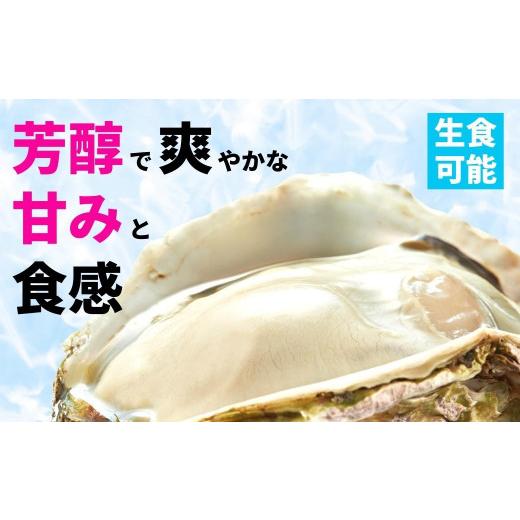 ふるさと納税 牡蠣 生牡蠣 島根県 海士町  ブランドいわがき春香 訳あり 食べごろサイズ 2kgセット 春香 牡蠣 牡蛎 いわがき 岩牡蠣 殻付き 海鮮 新鮮クリーミ…_3