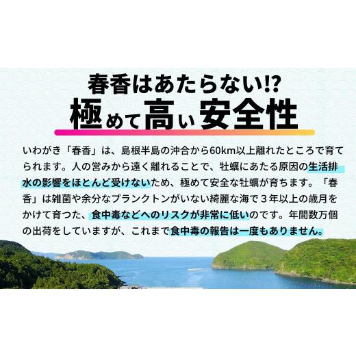 ふるさと納税 牡蠣 生牡蠣 島根県 海士町  ブランドいわがき春香 訳あり 食べごろサイズ 2kgセット 春香 牡蠣 牡蛎 いわがき 岩牡蠣 殻付き 海鮮 新鮮クリーミ…_4
