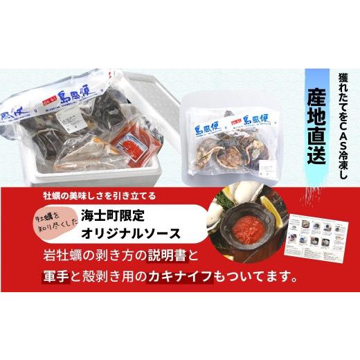 ふるさと納税 牡蠣 生牡蠣 島根県 海士町  ブランドいわがき春香 訳あり 食べごろサイズ 2kgセット 春香 牡蠣 牡蛎 いわがき 岩牡蠣 殻付き 海鮮 新鮮クリーミ…_5
