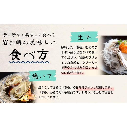 ふるさと納税 牡蠣 生牡蠣 島根県 海士町  ブランドいわがき春香 訳あり 食べごろサイズ 2kgセット 春香 牡蠣 牡蛎 いわがき 岩牡蠣 殻付き 海鮮 新鮮クリーミ…_6