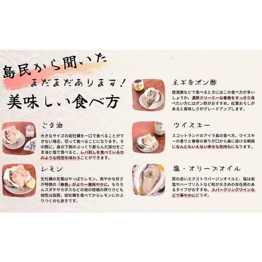 ふるさと納税 牡蠣 生牡蠣 島根県 海士町  ブランドいわがき春香 訳あり 食べごろサイズ 2kgセット 春香 牡蠣 牡蛎 いわがき 岩牡蠣 殻付き 海鮮 新鮮クリーミ…_7