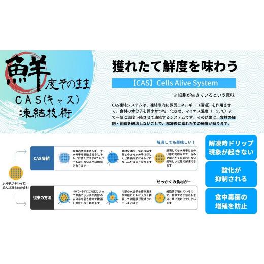 ふるさと納税 牡蠣 生牡蠣 島根県 海士町  ブランドいわがき春香 訳あり 食べごろサイズ 2kgセット 春香 牡蠣 牡蛎 いわがき 岩牡蠣 殻付き 海鮮 新鮮クリーミ…_8