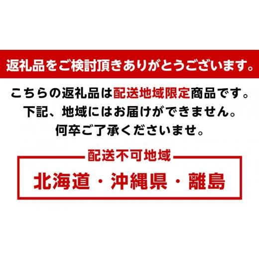 ふるさと納税 ビール 地ビール 山梨県 富士河口湖町  富士河口湖地ビール 富士桜高原麦酒ヴァイツェンろ過24本セット_3