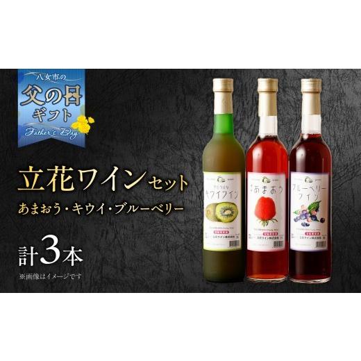 ふるさと納税 ワイン 福岡県 八女市 父の日ギフト ワイン3本セット あまおうワイン、キウイワイン、ブルーベリーワイン 父の日にお届け 父の日ギフト 贈り物 …