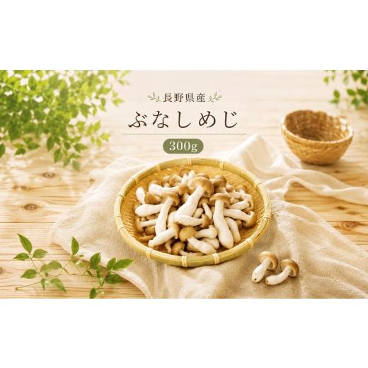ふるさと納税 野菜類 きのこ 長野県 天龍村 ぶなしめじ 1袋300g | ぶなしめじ しめじ きのこ キノコ 長野県 南信州 天龍 てんりゅう 1袋300g|寄付金額 2300円