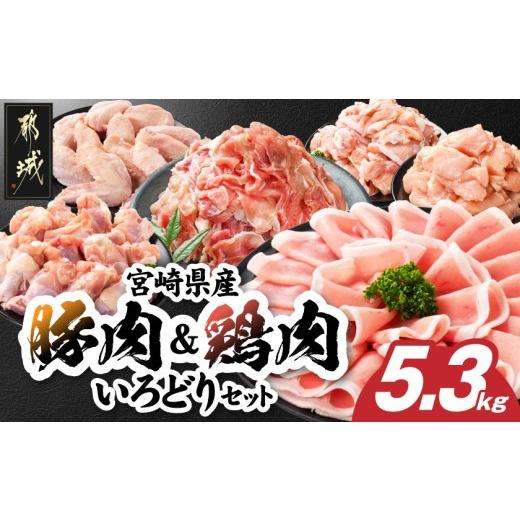 ふるさと納税 豚肉 ロース 宮崎県 都城市 宮崎県産豚肉&amp;鶏肉いろどり5.3kgセット_17H-84-007_(都城市) ロース モモ ムネ 手羽先 手羽元 国産