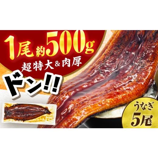 ふるさと納税 うなぎ 福岡県 広川町 1尾約500g 超特大うなぎ蒲焼×5尾 広川町 / 株式会社イールファクトリー