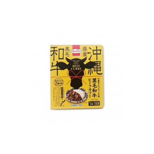 ふるさと納税 牛肉 カレー・シチュー 沖縄県 南城市 沖縄育ちのゴロっとお肉 黒毛和牛(なんじょう和牛)ビーフカリー 180g×1P|なんじょう和牛 黒毛和牛 …