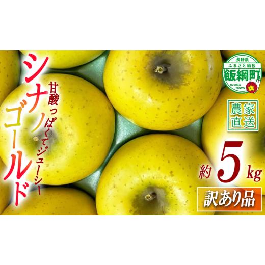 ふるさと納税 りんご 長野県 飯綱町 りんご シナノゴールド 訳あり 5kg アグリファーム小林 信州の環境にやさしい農産物認証 ( 長野県認証 No50-30-00064 ) …