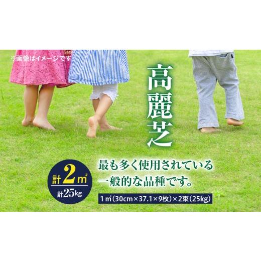 ふるさと納税 花・苗木 鹿児島県 鹿屋市 10月から5月に発送 高麗芝(2平方メートル) KN177-003-01