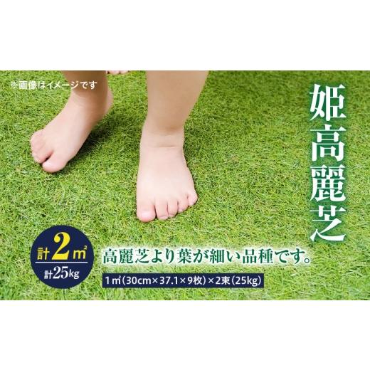 ふるさと納税 花・苗木 鹿児島県 鹿屋市 10月から5月に発送 姫高麗芝(2平方メートル) KN177-004-01
