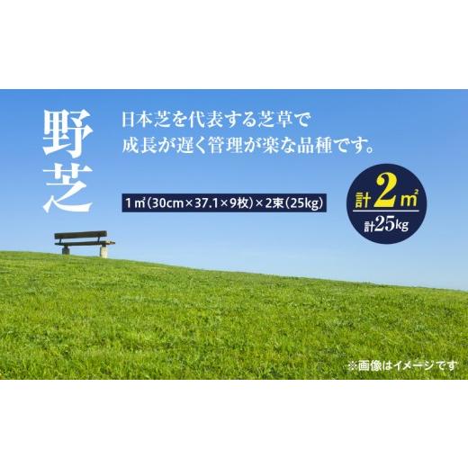 ふるさと納税 花・苗木 鹿児島県 鹿屋市 10月から5月に発送 野芝(2平方メートル) KN177-005-01