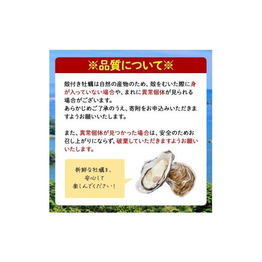 ふるさと納税 牡蠣 生牡蠣 宮城県 大和町 松島牡蠣屋 冷凍牡蠣（生食用） 8kg 生牡蠣 宮城県産 牡蛎 牡蠣 カキ オイスター カキフライ 牡蠣鍋 海鮮 国産 魚貝…_4