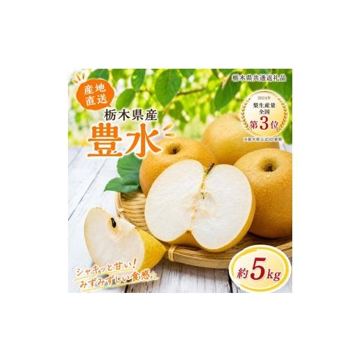 ふるさと納税 梨 栃木県 矢板市 数量限定 梨 なし 栃木県産 豊水 5kg|フルーツ 果物 栃木県共通返礼品 8月発送 豊水|13000円