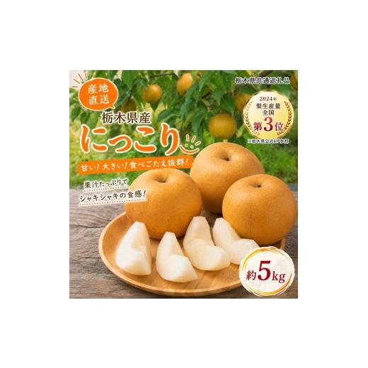 ふるさと納税 梨 栃木県 矢板市 数量限定 梨 なし 栃木県産 にっこり 5kg|フルーツ 果物 栃木県共通返礼品 10月発送 にっこり|13000円