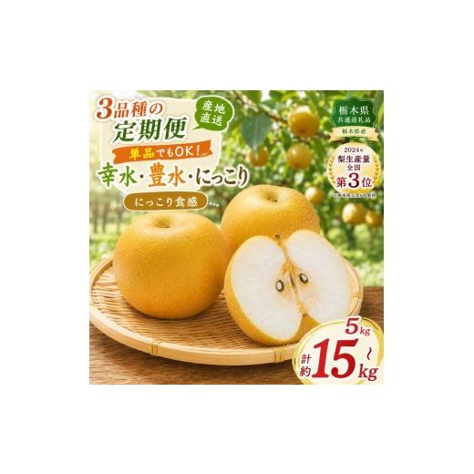 ふるさと納税 梨 栃木県 矢板市 数量限定 梨 なし 食べ比べ 定期便 各5kg 幸水→豊水→にっこり|フルーツ 果物 栃木県共通返礼品
