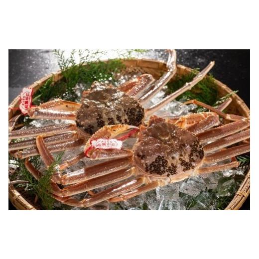ふるさと納税 カニ 松葉ガニ 鳥取県 境港市 11月中旬〜2月下旬配送予定 鳥取県産 生松葉ガニ(タグ付き)特大2枚