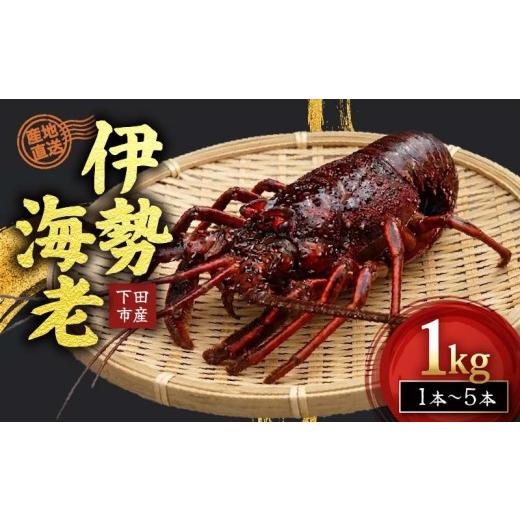 ふるさと納税 エビ 伊勢エビ 静岡県 下田市 冷凍 伊勢海老 活 1kg Jセット 下田産 伊勢エビ 海老 活き締め 国産 海老 えび 刺身 味噌汁 おつまみ バーベキュー…