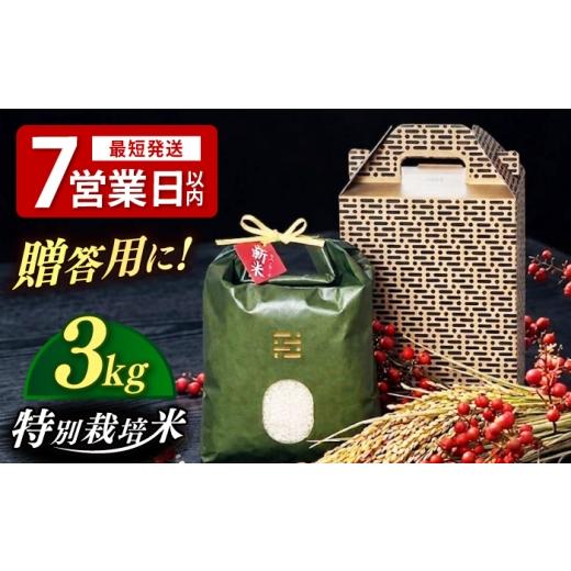 ふるさと納税 米 福岡県 築上町 とくべつ の中の とくべつ 特別栽培米 夢つくし 3kg 築上町 / itoshimacco / 株式会社やました