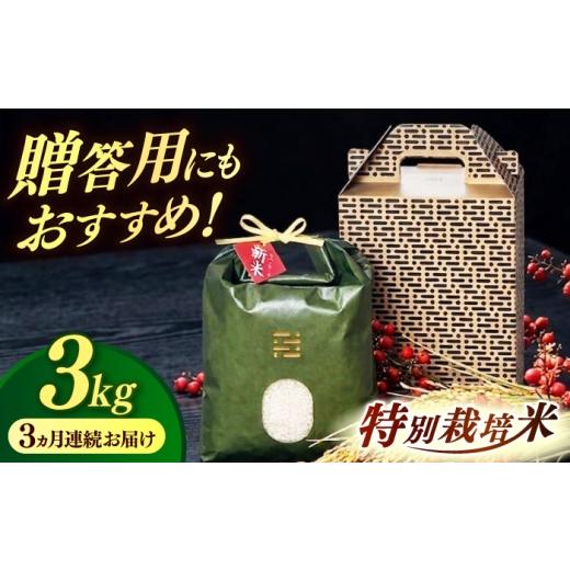 ふるさと納税 米 福岡県 築上町 全3回定期便 とくべつの中のとくべつ 特別栽培米 夢つくし 3kg 築上町 / itoshimacco / 株式会社やました