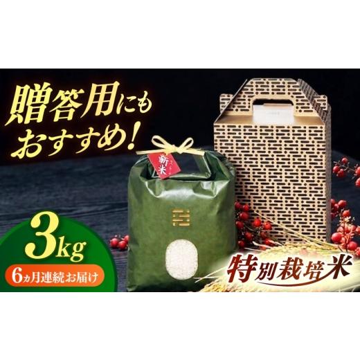 ふるさと納税 米 福岡県 築上町 全6回定期便 とくべつ の中の とくべつ 特別栽培米 夢つくし 3kg 築上町 / itoshimacco / 株式会社やました