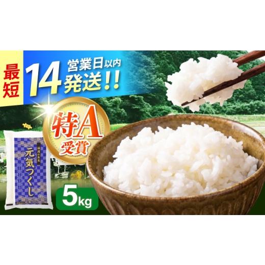 ふるさと納税 米 福岡県 築上町 令和7年産 福岡県 元気つくし 5kg [築上町] カネガエ