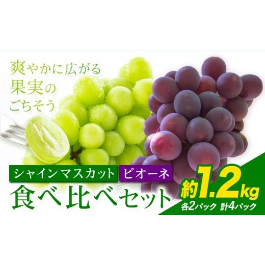 ふるさと納税 ぶどう 熊本県 荒尾市 先行予約 シャインマスカット ピオーネ 秀品 内容量 1.2kg 4パック 日本フルーツ[7月下旬-8月末頃出荷]熊本県 荒尾市 ぶ…