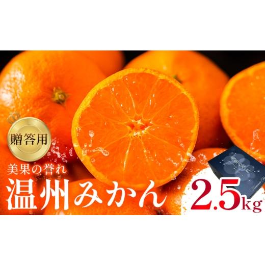 ふるさと納税 果物類 みかん 熊本県 荒尾市 贈答用 温州みかん 約2.5kg 日本フルーツ株式会社 熊本県 荒尾市 [11月上旬-2月中旬頃出荷] デコポン 果物 秀品 …