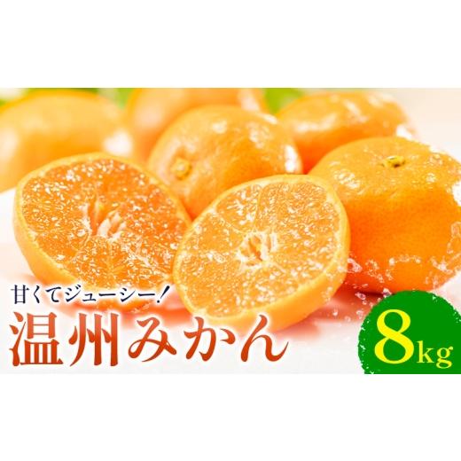 ふるさと納税 果物類 みかん 熊本県 荒尾市 温州みかん 約8kg 日本フルーツ株式会社 熊本県 荒尾市 [10月中旬-2月中旬頃出荷] デコポン 果物 フルーツ スイ…