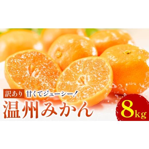 ふるさと納税 果物類 みかん 熊本県 荒尾市 訳あり 温州みかん 約8kg 日本フルーツ株式会社 熊本県 荒尾市 [10月中旬-2月中旬頃出荷] デコポン 果物 フルー…