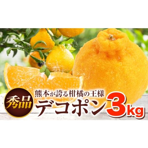 ふるさと納税 みかん・柑橘類 デコポン 熊本県 荒尾市 贈答用 デコポン 3kg 日本フルーツ株式会社 熊本県 荒尾市 [12月中旬-4月中旬頃出荷] デコポン 果物 …