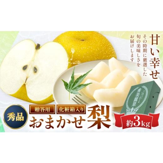 ふるさと納税 梨 熊本県 荒尾市 先行予約 梨 おまかせ梨 秀品 約3kg [8月上旬-10月上旬頃出荷]日本フルーツ株式会社 フルーツ 旬の品種
