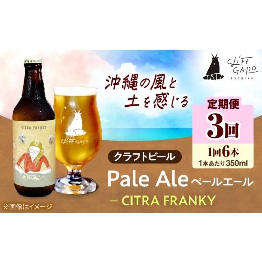 ふるさと納税 ビール 地ビール 沖縄県 沖縄市 全3回定期便 -CLIFF BEER- CITRA FRANKY (ペールエール) 6本入り ビール クラフトビール 350ml 飲み比べ ギフト…