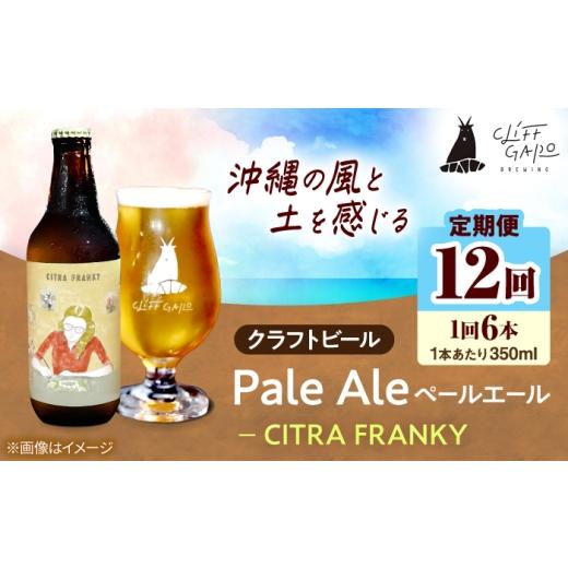 ふるさと納税 ビール 地ビール 沖縄県 沖縄市 全12回定期便 -CLIFF BEER- CITRA FRANKY (ペールエール) 6本入り ビール クラフトビール 350ml 飲み比べ ギフ…