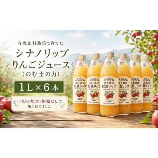 ふるさと納税 果汁飲料 りんご 長野県 伊那市 りんごジュース シナノリップジュース 1L×6本 のむ土の力 池上りんご農園 | 有機肥料栽培 原料 使用 長野県 伊…